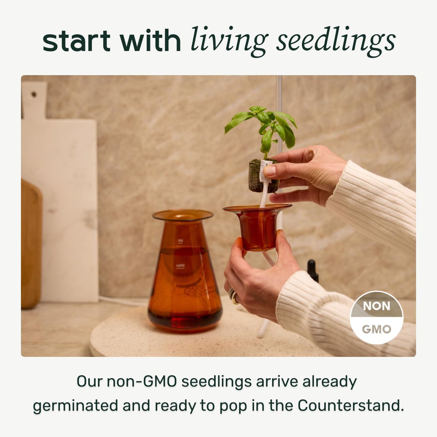 Counterstand Set – Vase Plant for Indoor Edible Garden Kit for Herbs & Lettuce – Small-Space Hydroponic System – Home Decor & Gifting – Without Live Plants