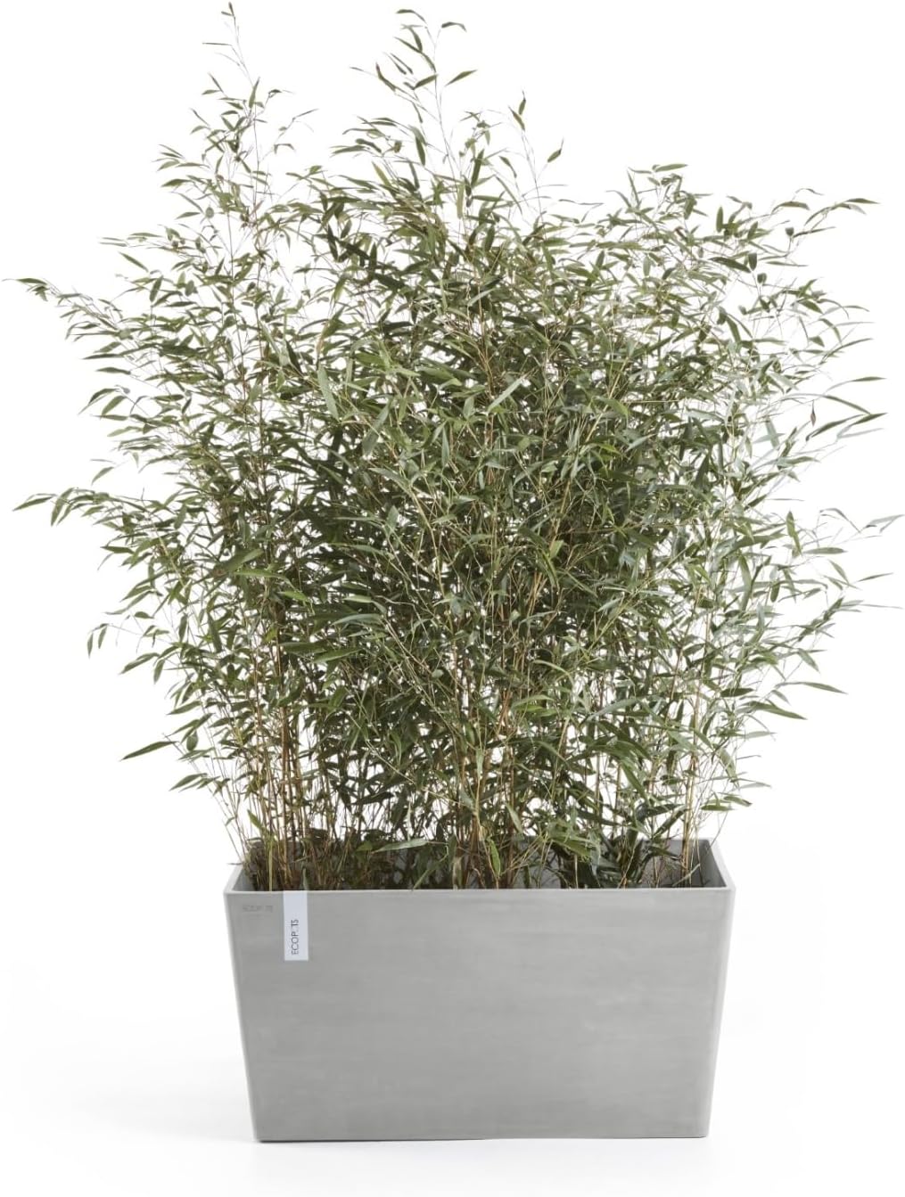 Ecopots Paris Durable Modern Rectangular Indoor/Outdoor Recycled-Based Composite Flower Planter, White Grey, 31.5"