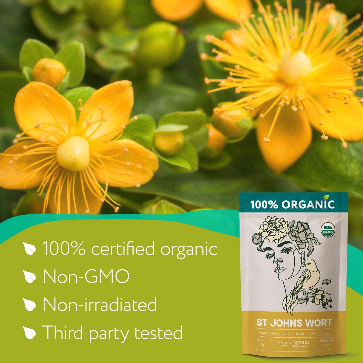 Super Value Pack 5 LB - Organic St Johns Wort Herb - Saint Johns Wart Plant - Yerba de San Juan Organica - Hypericum Perforatum