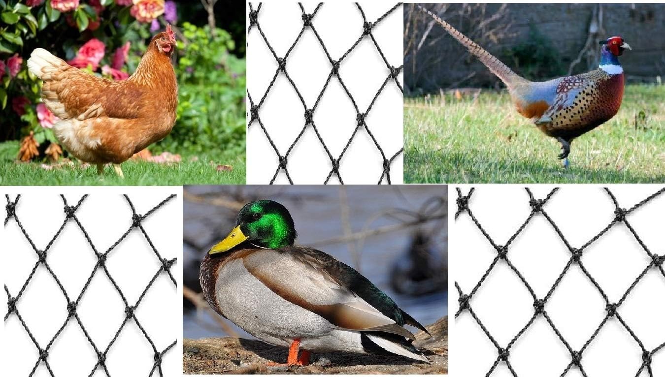 Aviary Netting Heavy Knotted 2 inch Poultry Net (50 ft x 100 ft)