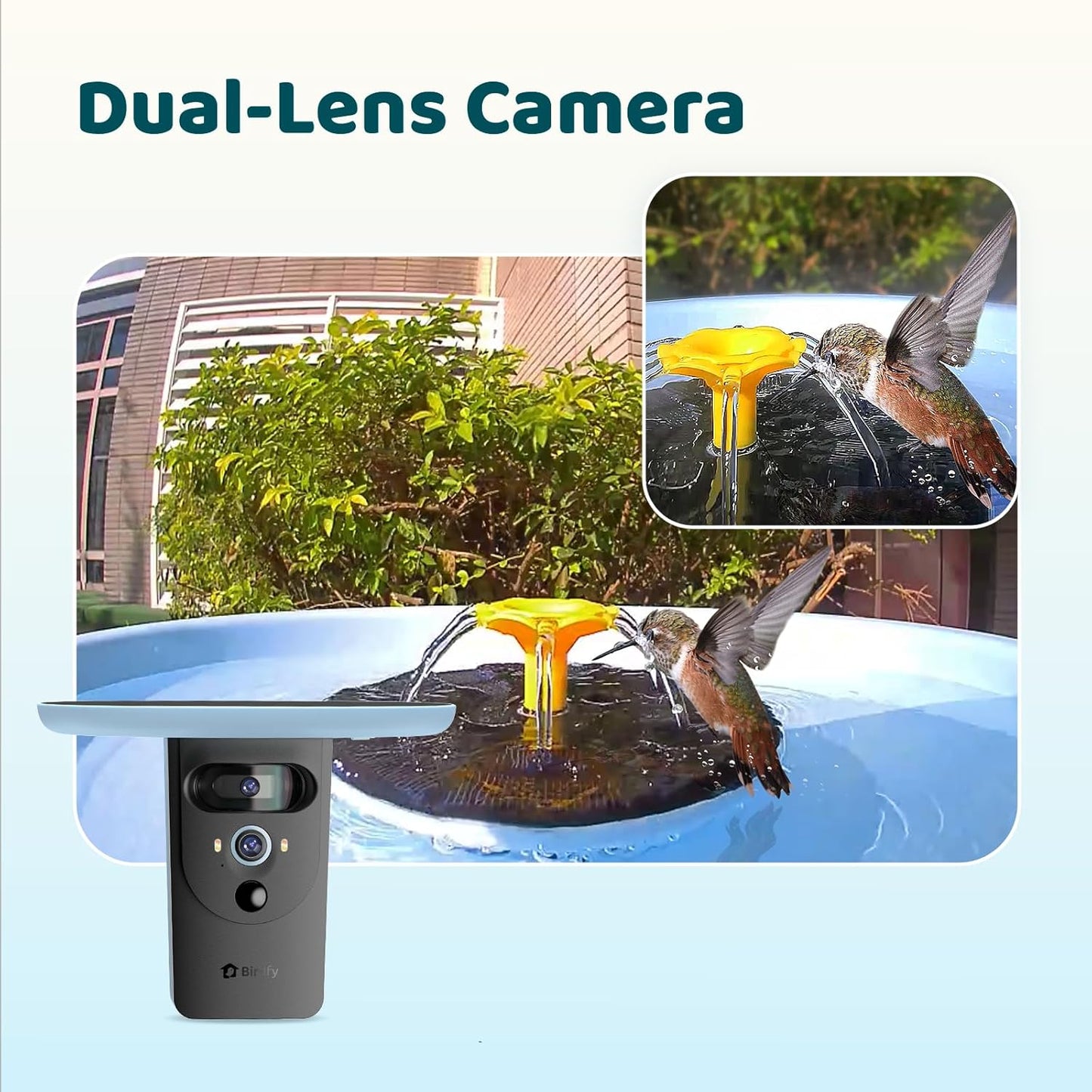 Birdfy Smart Bird Bath with Camera Solar Powered & Fountain & Stand, Dual-Lens Camera for Wildbird Watching, Auto Capture Bird Videos & Motion Detection - AI by Subscription