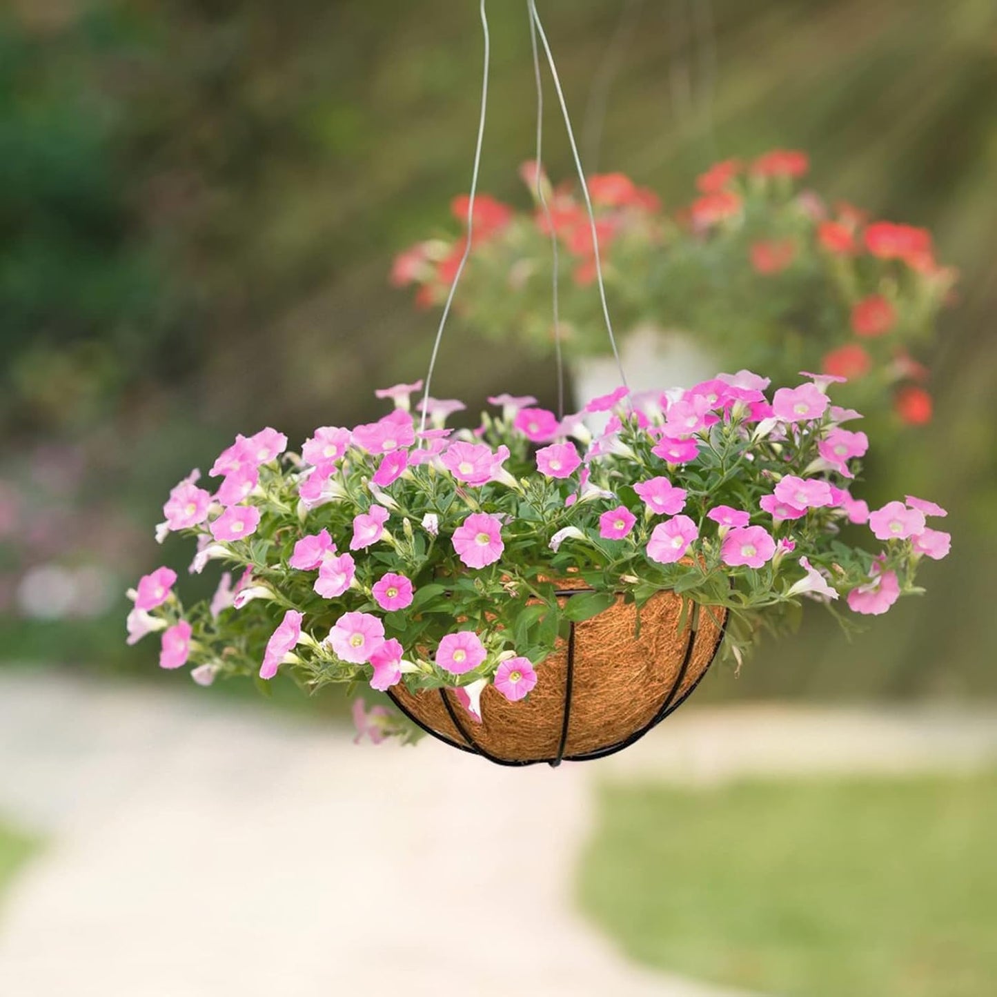 Halatool 4 PCS 14 Inch Coconut Liners for Planters Round Hanging Basket Liners 100% Natural Replacement Coconut Fiber Liner for Garden Flower Pot Vegetables Herbs