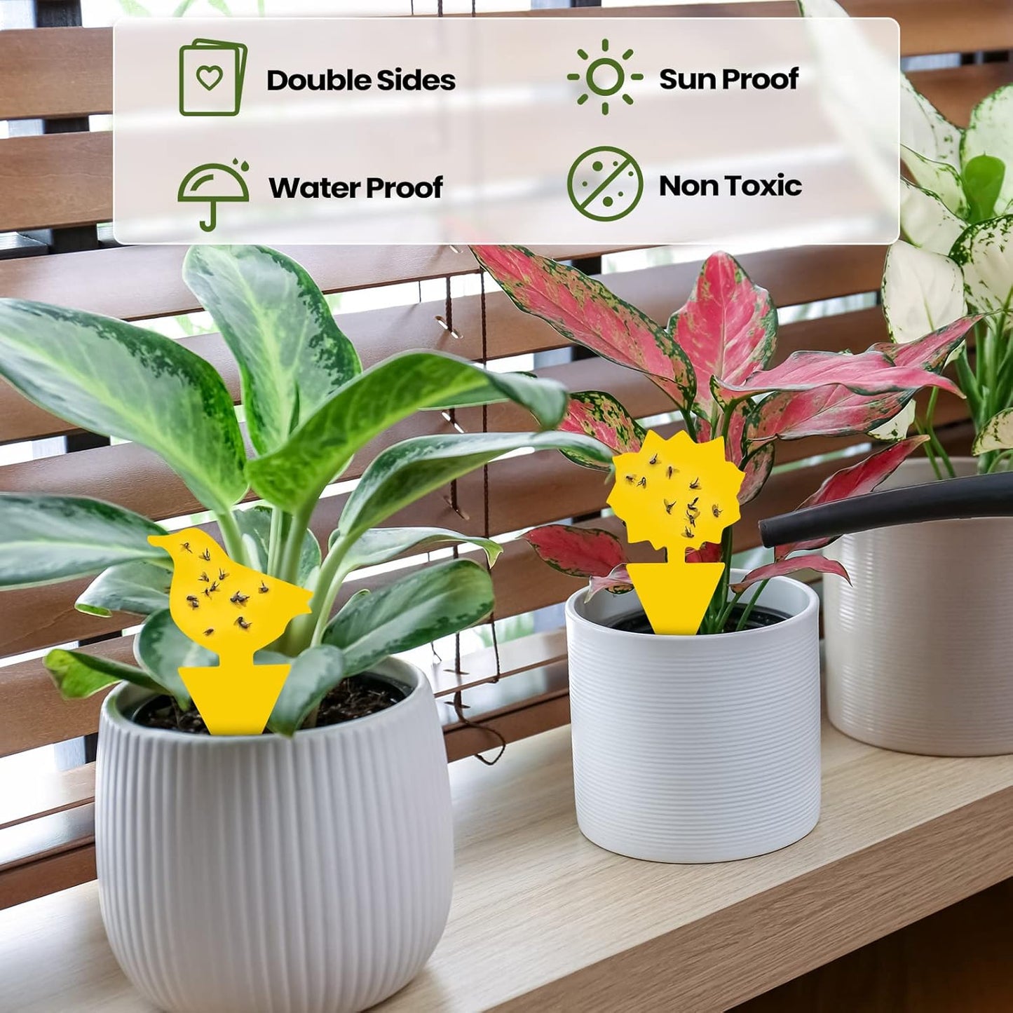 200 Sheets Fruit Fly Sticky Traps for Fruit Fly Gnat Trap for House Indoors Sticky Traps Catcher for Gnats Fungus Gnats Mosquito Catcher for Kitchen Outdoor Plants(Yellow)