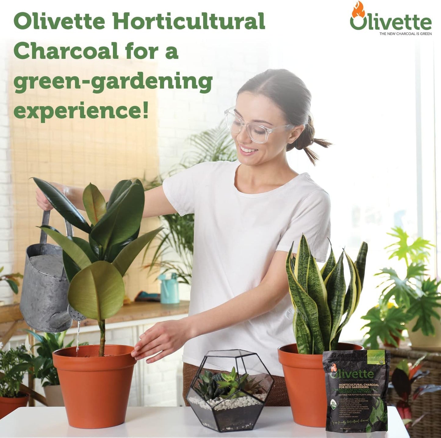 Olivette Horticultural Biochar Activated Charcoal for Plants, USDA Organic Moisture Control for Terrarium Trees & Potted Plants, Eco-Conscious, 1 Bag