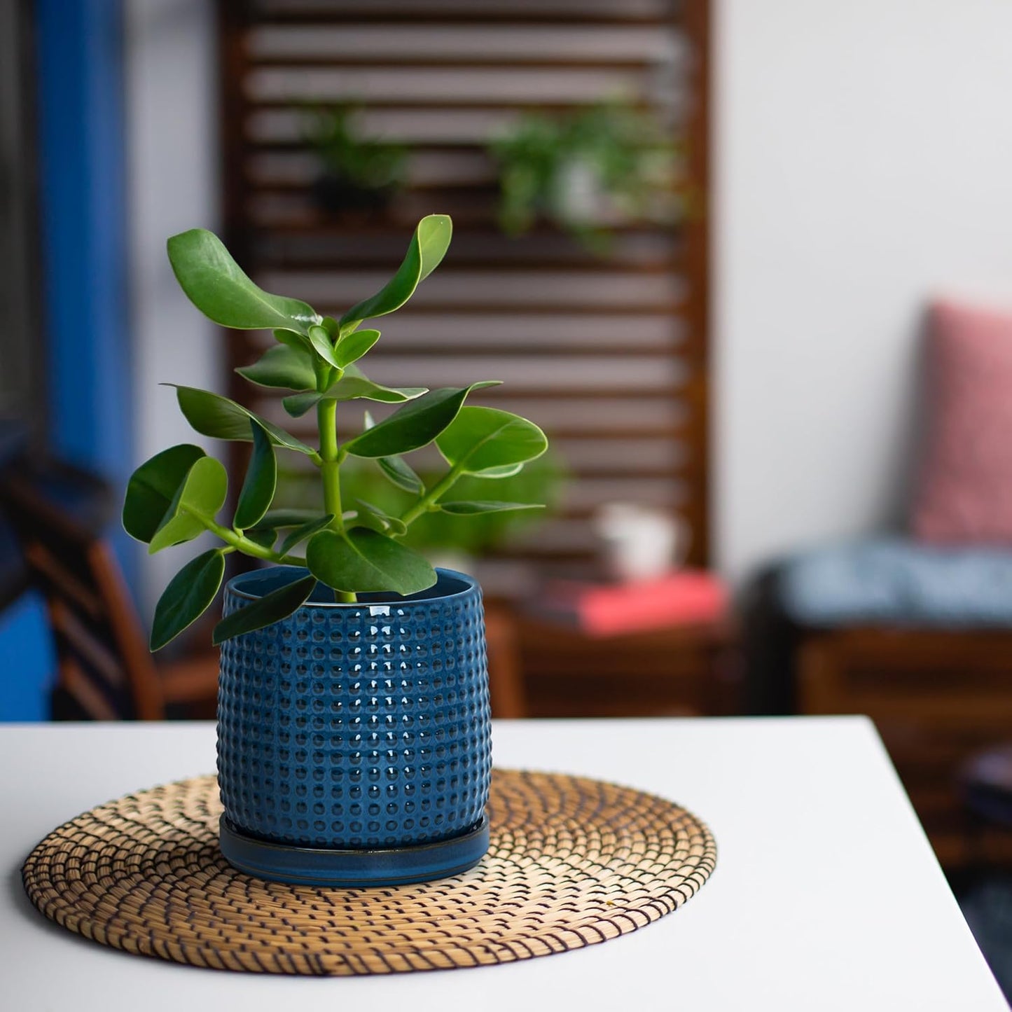 D'vine Dev Set of 2 Ceramic Plants Pots, 4 Inch Beaded Stoneware Flower Pot for Plants with Drainage Hole and Saucer, Midnight Blue, 27-E-Z-3