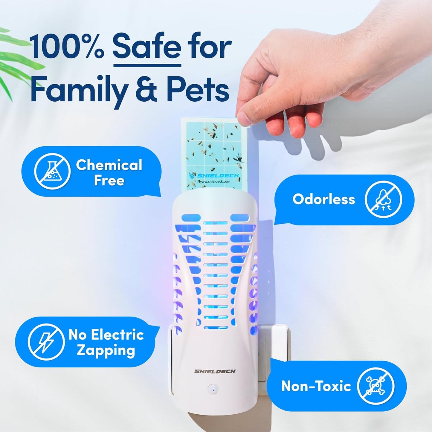 Flying Insect Trap Plug in - Indoor Fruit Fly, Gnat, and Mosquito Trap - Bug Catcher Traps with UV Light for House Indoors (1 Device + 5 Refills) (Refills)