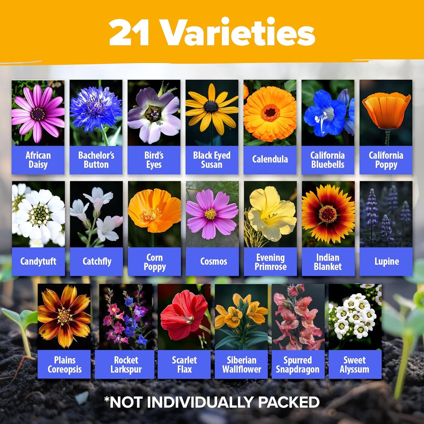 HOME GROWN 𝗨𝗦𝗔 𝗣𝗥𝗘𝗠𝗜𝗨𝗠 Wildflower Seeds Mix - 49,100+ (2oz) Bulk Mix, 21 Varieties Wild Flower - Bee and Butterfly Garden Pack - Native Annual Flowers for Planting for Your Garden