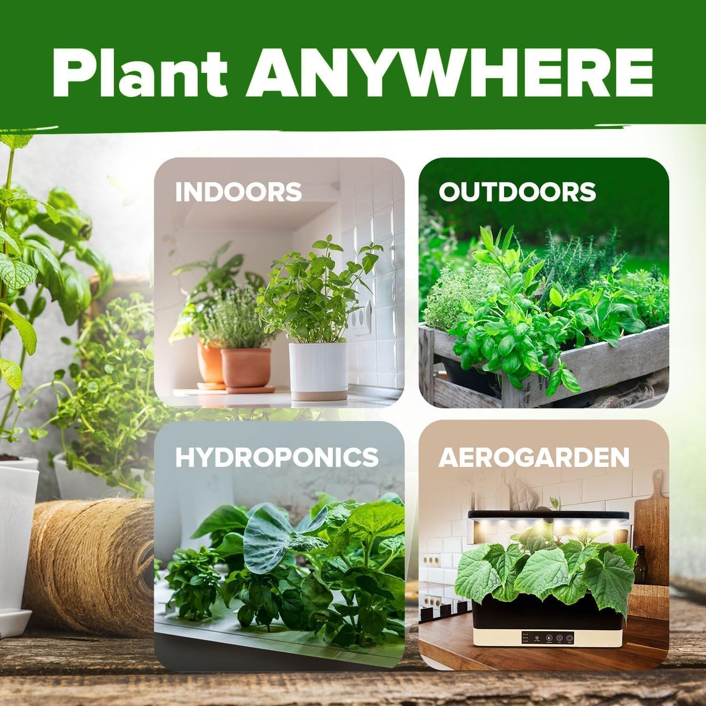 HOME GROWN 15 Herb Seeds for Planting 4,500+ Non-GMO Heirloom Seeds | Extra Large Variety Pack Herb Kit – Indoor Outdoor & Hydroponic | Culinary Seed Set | Grow Your Own Herbs | Gardening Gift