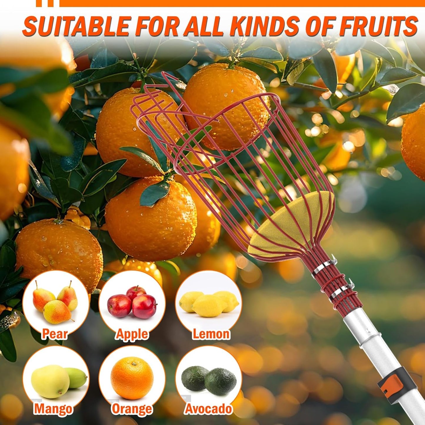 26FT Reach Fruit Picker Pole with Basket Telescoping, Apple Picker with Tree Trimmer and 5-20FT Extension Pole for Orange Lemon Mango Avocado Guava Fruit Picking