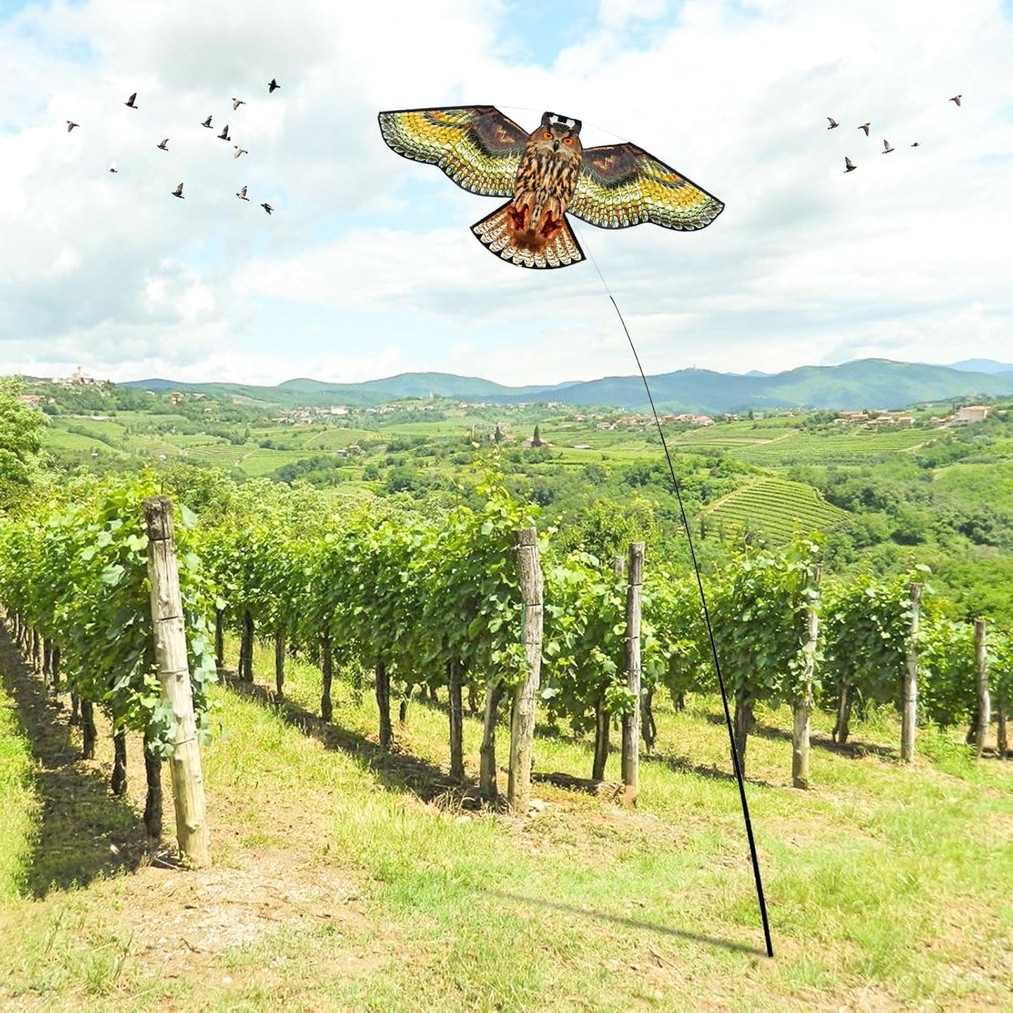 Bird Hawk Flying Kite with Pole Crop Protector Bird Scare Kites with 4m Pole - Owl Kite