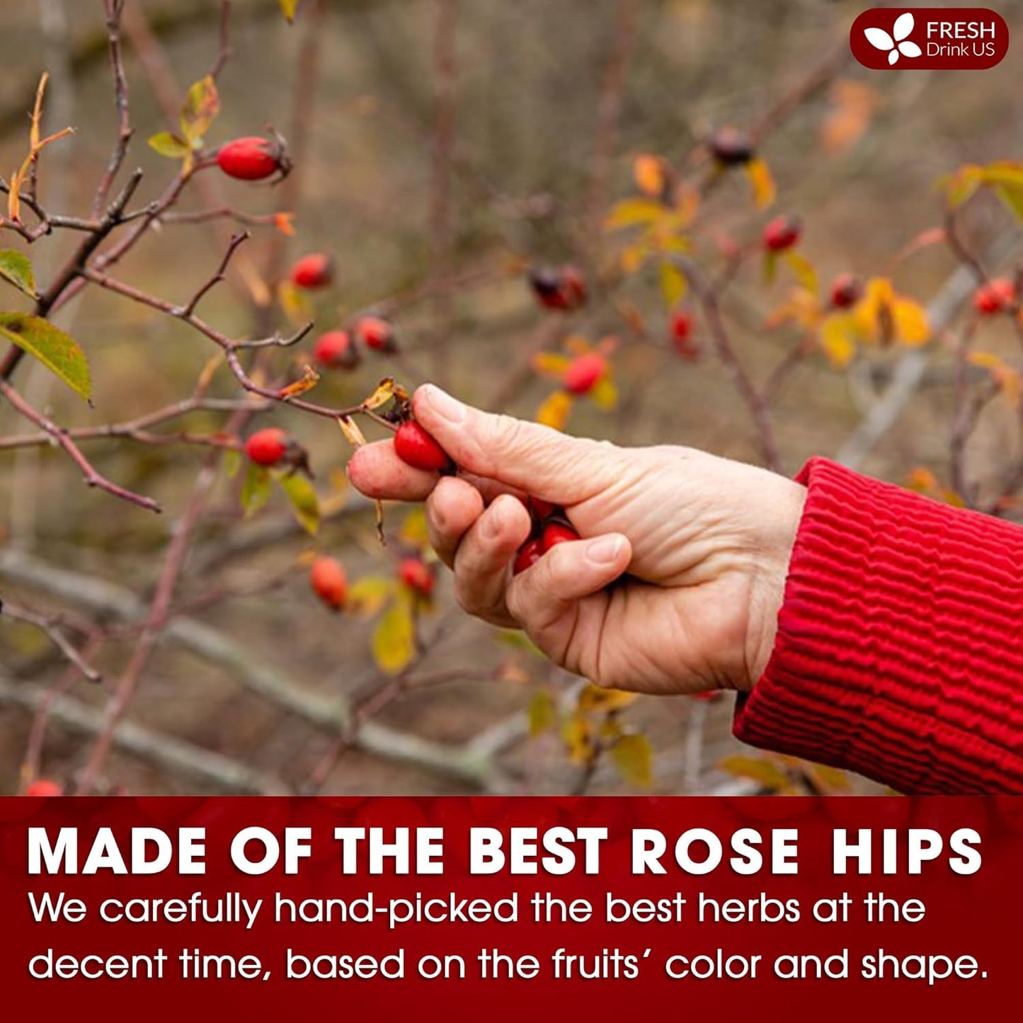 FreshDrinkUS, Premium 55 Rosehip Tea Bags, 100% Natural & Pure from Rose Hip Fruits. Loose Rosehip Herbal Tea. Made with Natural Material Tea Bags. No Sugar, No Caffeine, No Gluten, Vegan.