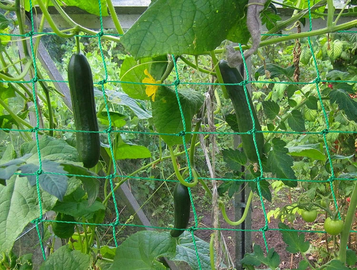 Trellis Netting for Climbing Plants - Heavy Duty Garden Trellis Netting for Cucumber, Vine, Fruits & Vegetables Tomato Plants Trellis Net, Climbing Vining Plants (1-Pack 16.4' x 6.6'Ft)