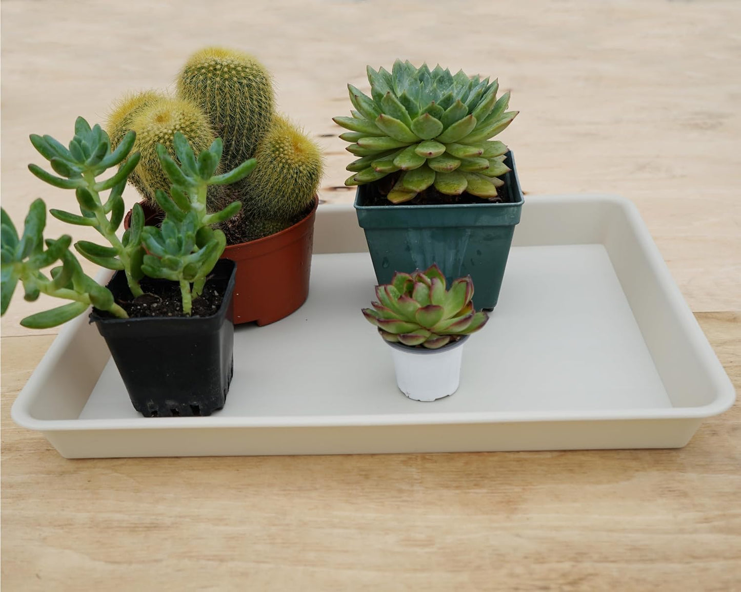 Rectangle Plant Tray, Plant Drip Tray, Plant Pot Saucers, Plant Germination Trays, Plant Saucers, 14.5'' x 11'' x 1.5'' (2 pack), Beige