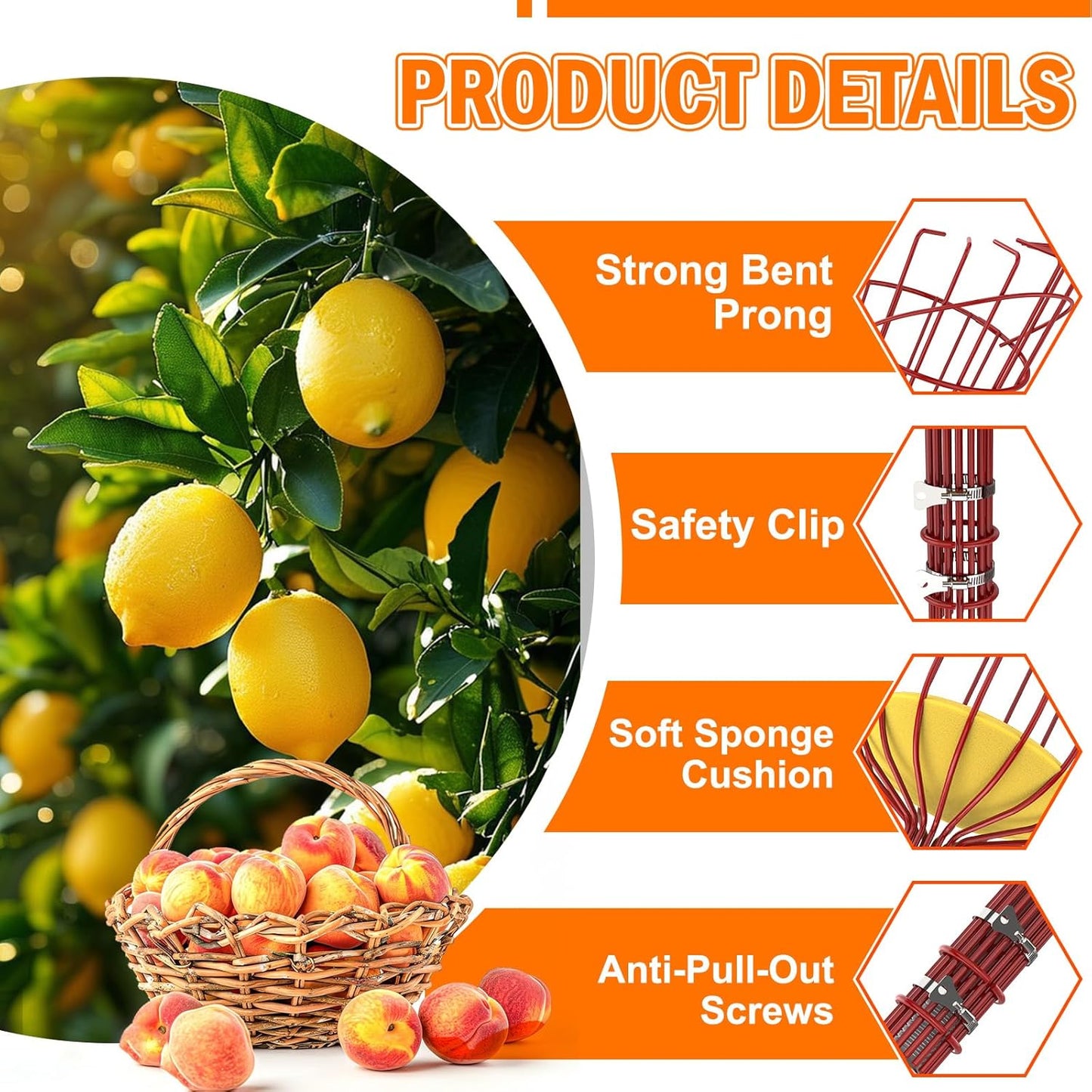 20FT Reach Fruit Picker Pole with Basket Telescoping, Apple Picker with Tree Trimmer and 3-12FT Extension Pole for Orange Lemon Mango Avocado Guava Fruit Picking