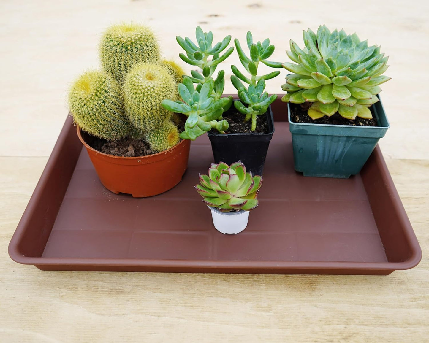 Rectangle Plant Tray, Plant Drip Tray, Plant Pot Saucers, Plant Germination Trays, Plant Saucers, 11'' x 9'' x 1.2'' (2 pack), Chocolate