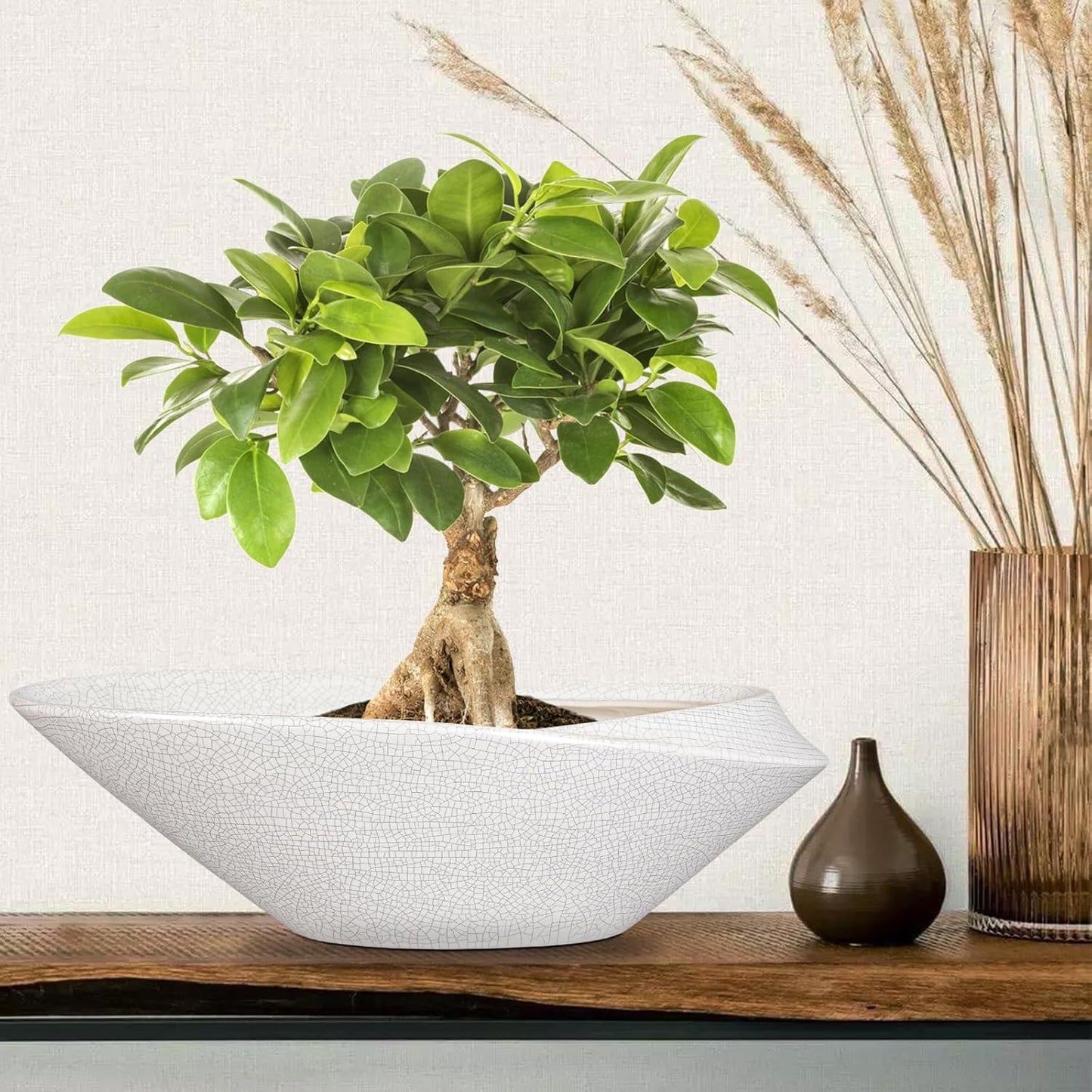 Bonsai Pots - 18 Inch Ceramic Plant Pot for Bonsai Tree, Modern Indoor & Outdoor Succulent Planter with Drainage, Room Decor, Gifts for Plant Lovers, White-Black