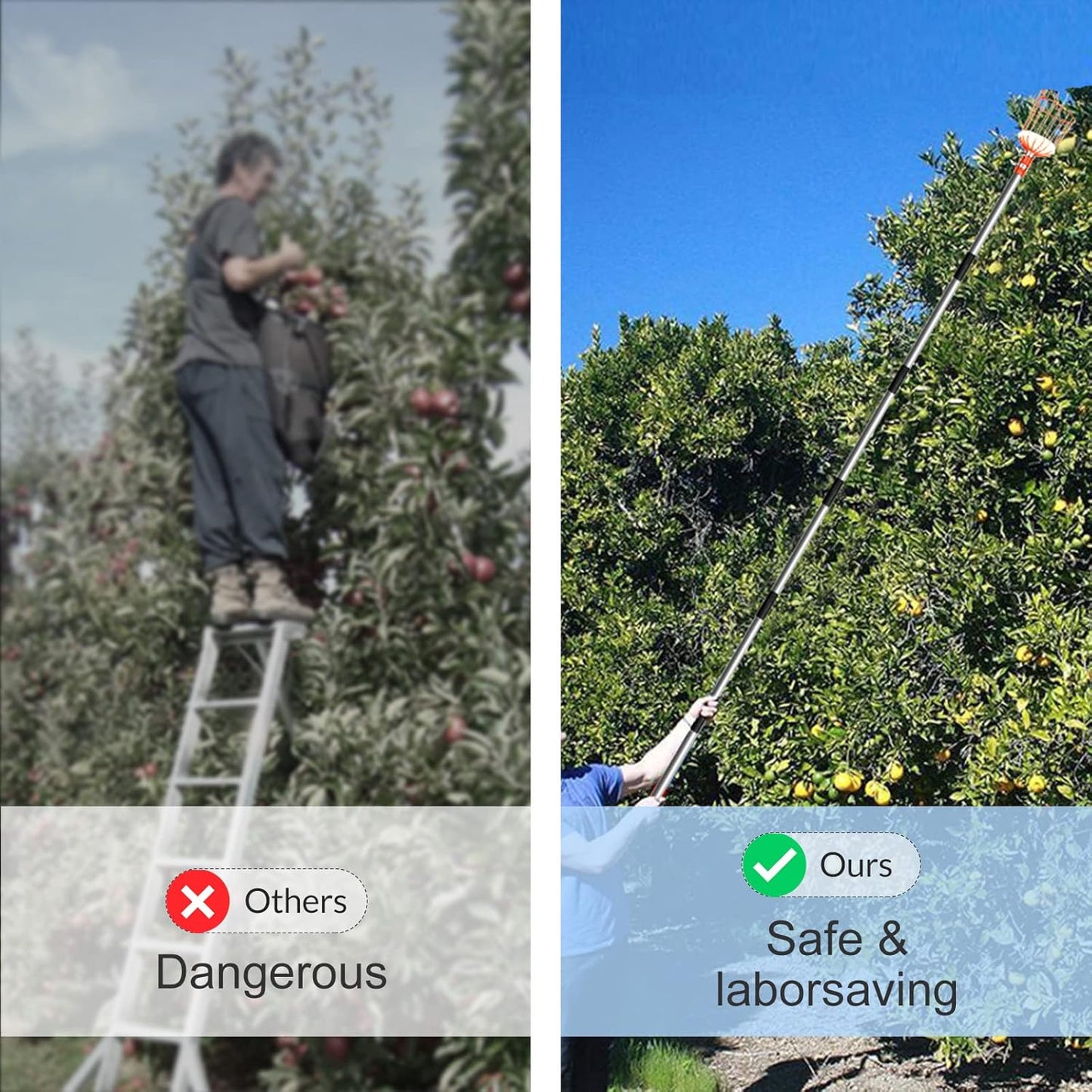 Walensee 5.5FT Fruit Picker, Adjustable Fruits Picker Tool with Lightweight Stainless Steel Pole and Big Basket, Fruit Catcher Equipment Tree Picker for Apples Mango Pear Orange Avocados Fruit Picking