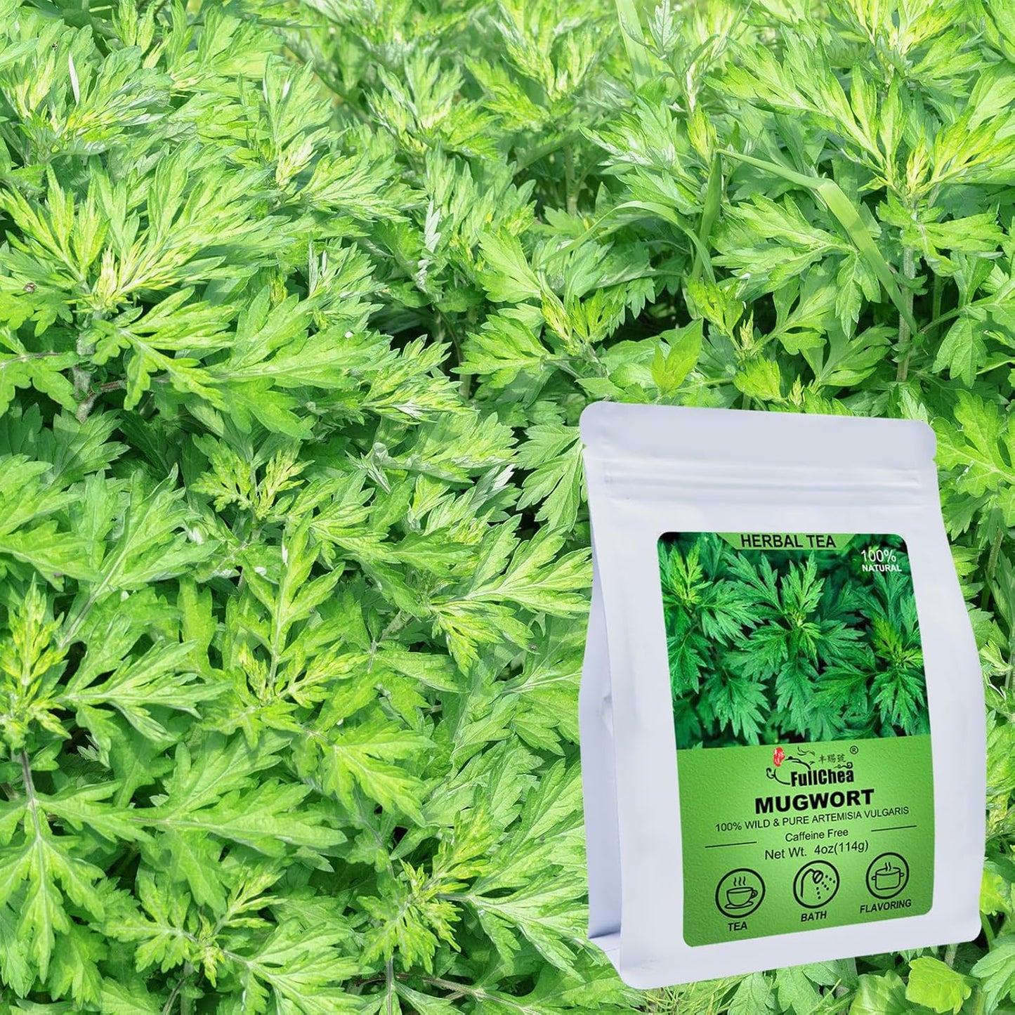FullChea - 100% Pure Natural Dried Mugwort Herb Loose Leaf - 4oz/114g - Superior Dried Mugwort Tea - Sulfur-free - Non-GMO - Caffeine-free - Help Lucid Dream