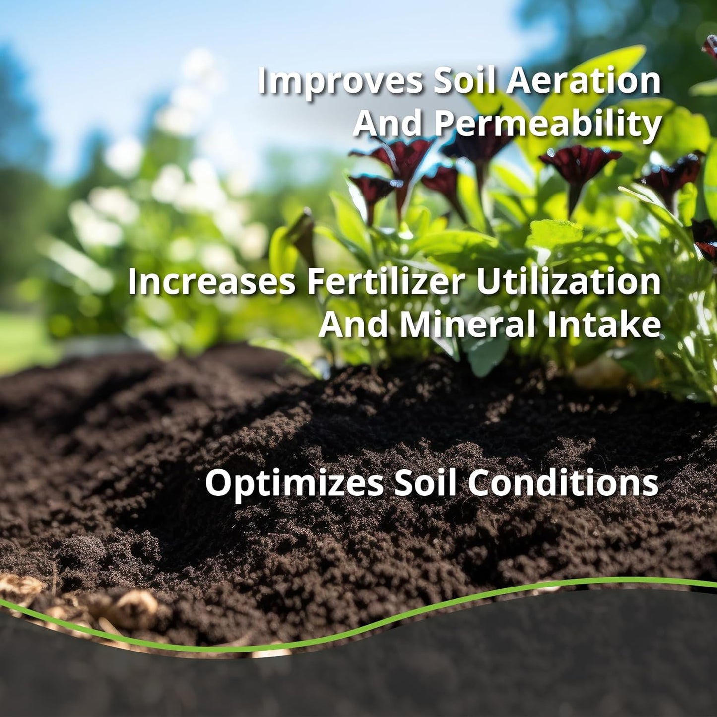 Char Bliss (1 Qt) - Organic Biochar for Plants - OMRI-Listed Biochar Soil Amendment Organic - Horticultural Charcoal for Plants, Gardening, & Potting Soil - 100% Natural and Renewable Bio Char