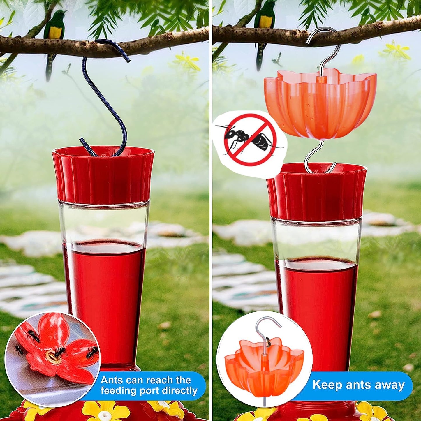 Ant Moat for Hummingbird Feeders, Vintage Style Humingbird Feeder Ant Guard & Stopper (Red 4 Pack)