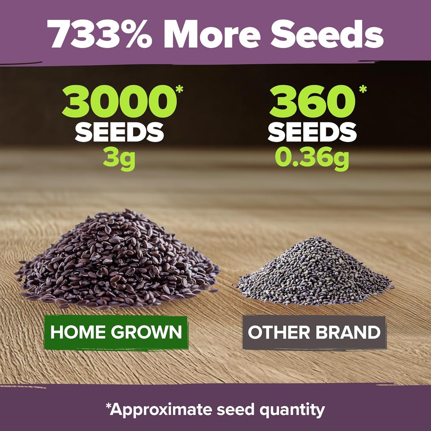 HOME GROWN 𝗨𝗦𝗔 𝗣𝗥𝗘𝗠𝗜𝗨𝗠 English Lavender Seeds 2 Pack 3000 𝗡𝗢𝗡-𝗚𝗠𝗢 Wildflower Seed, for Planting Indoor Outdoor High Germination Flower Seeds (Lavandula antustifolia)