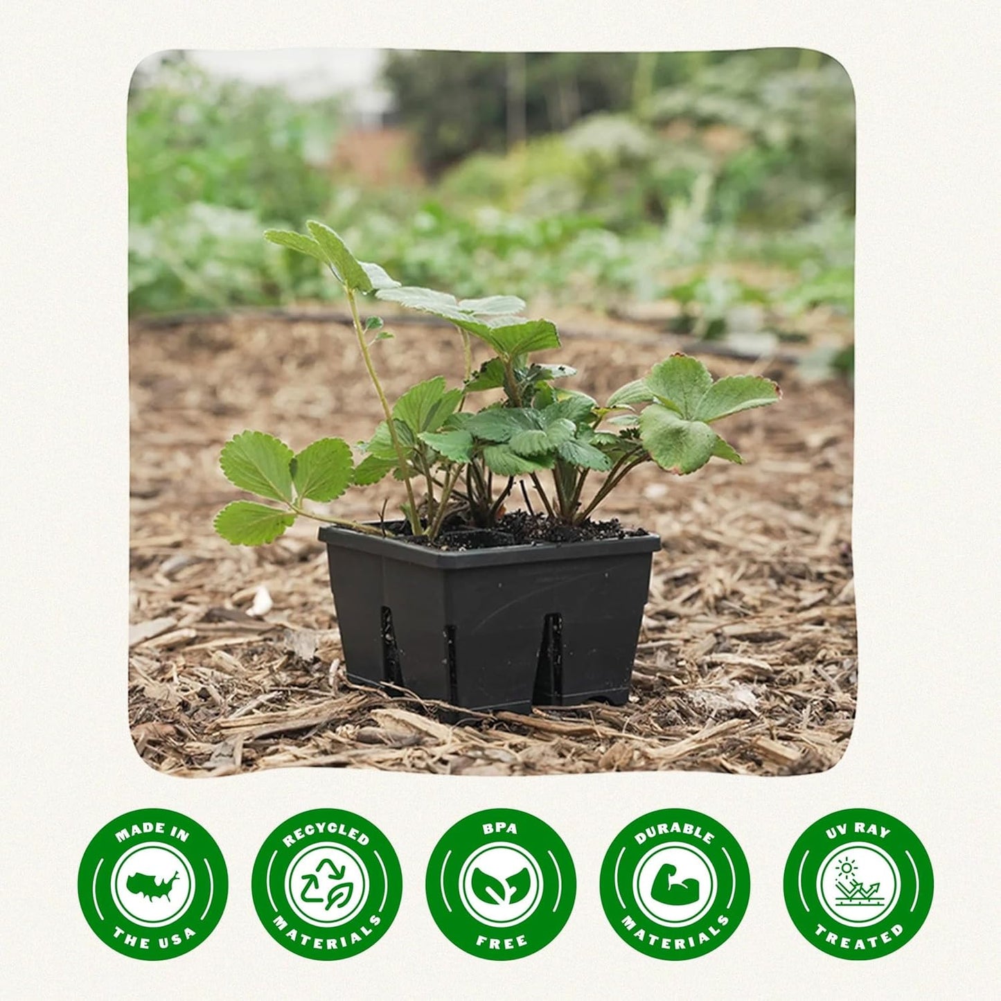 Epic Gardening Reusable Seed Starter Tray - 4 Cell 4"/16 Seedling Starter Trays - Easy Watering, Indoor Greenhouse, Plant Starter, Gardener-Friendly for Seedlings | UV-Treated & BPA-Free - Black