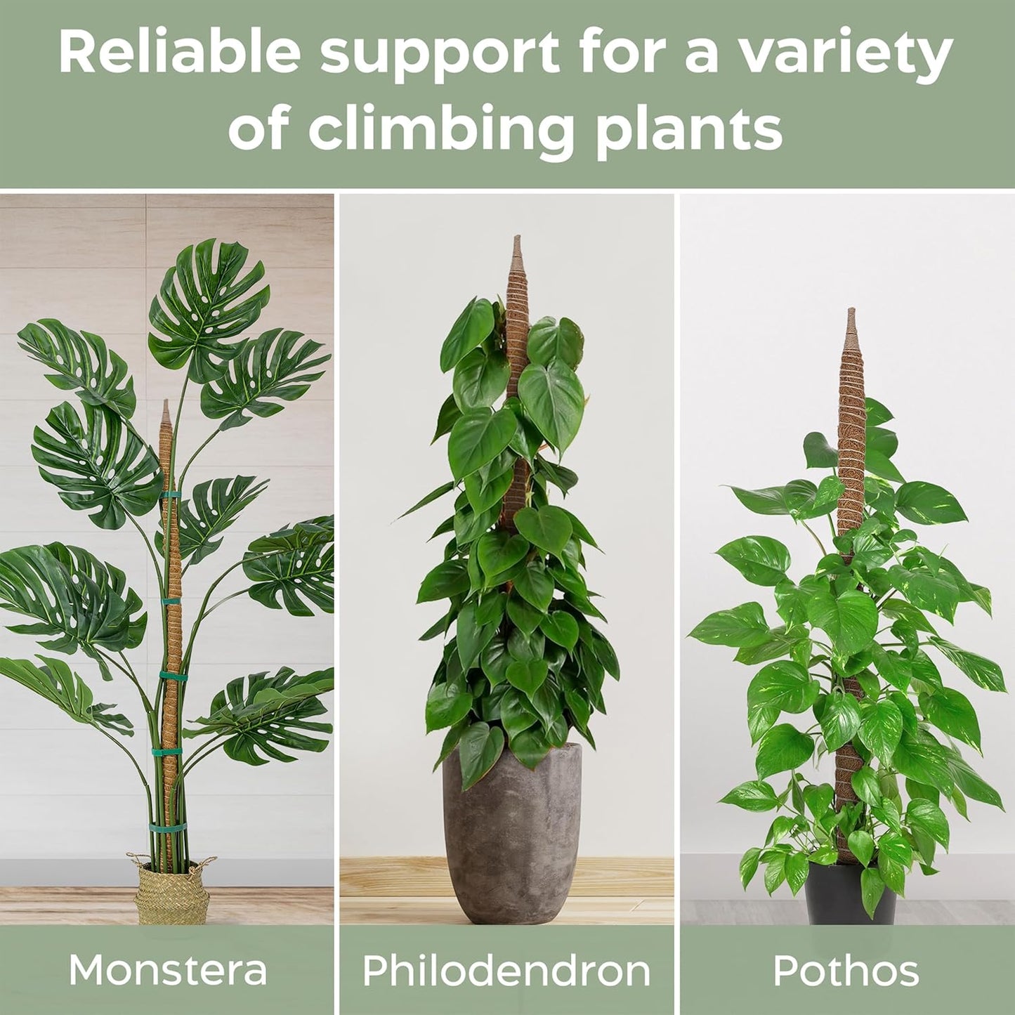 K-Brands 48'' Bendable Moss Pole Monstera Plant Support - Coconut Palm Fiber - Brown - Rectangular - Climbing Plant Support Structure