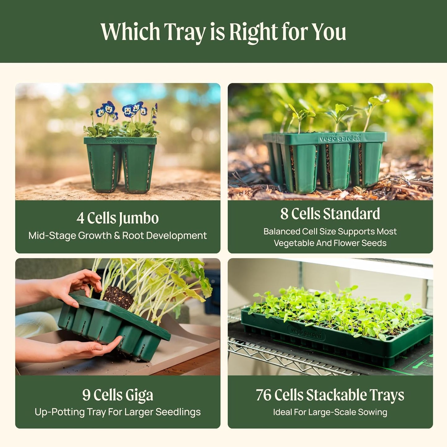 Vego garden Jumbo Seedling Trays Without Lids, 64 Pack Reusable Propagator Growing Starter Tray for Larger Plants, Heavy-Duty Plastic Germination Trays (4-Cell per Tray)