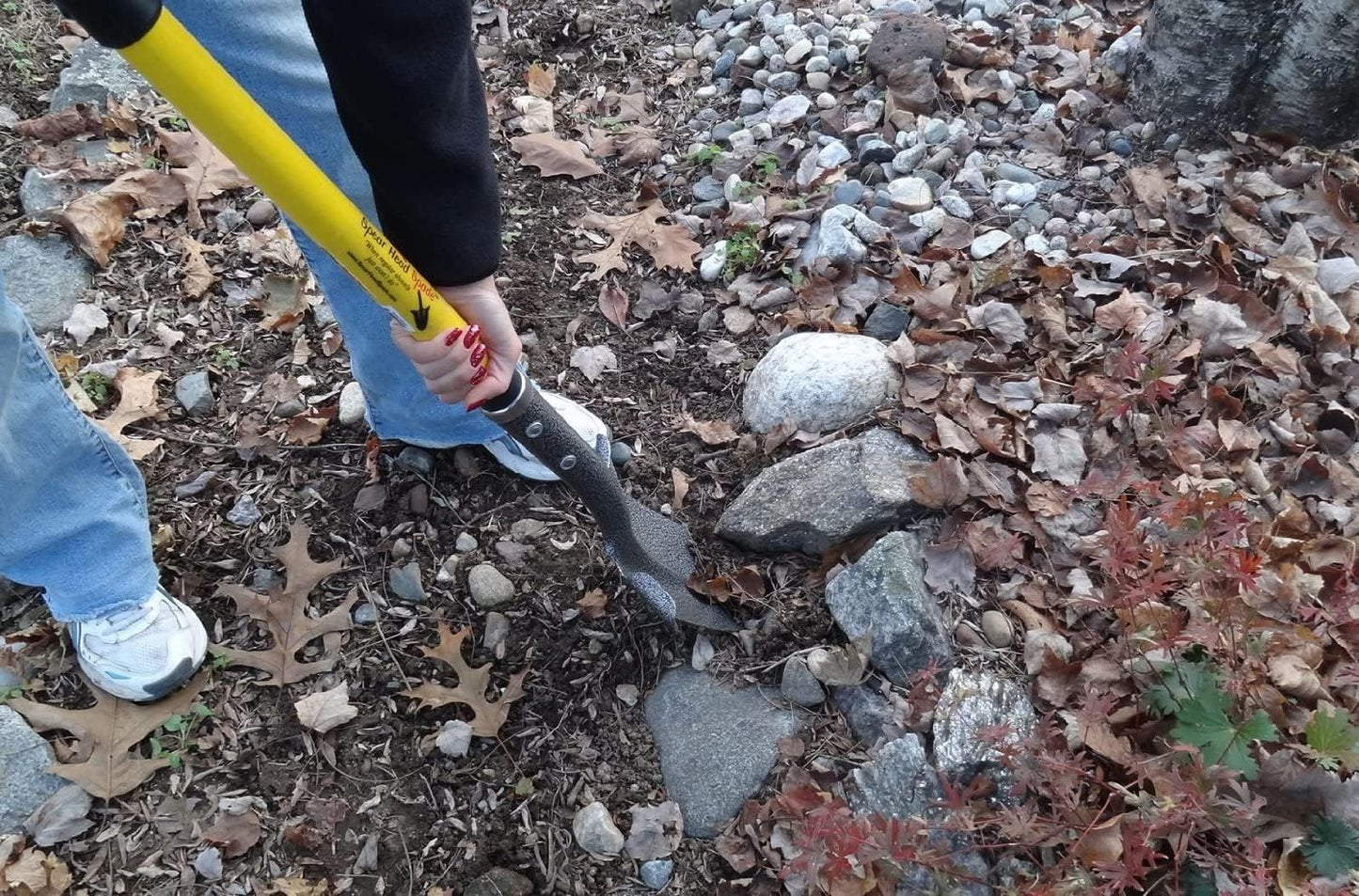 SHFD3 40" Lime Garden Spade Shovel - Gardening Shovel with a 9" x 11" Beveled Blade, Steel-Reinforced Fiberglass Long Handle & Cushioned D-Grip - Digging Spade for Planting