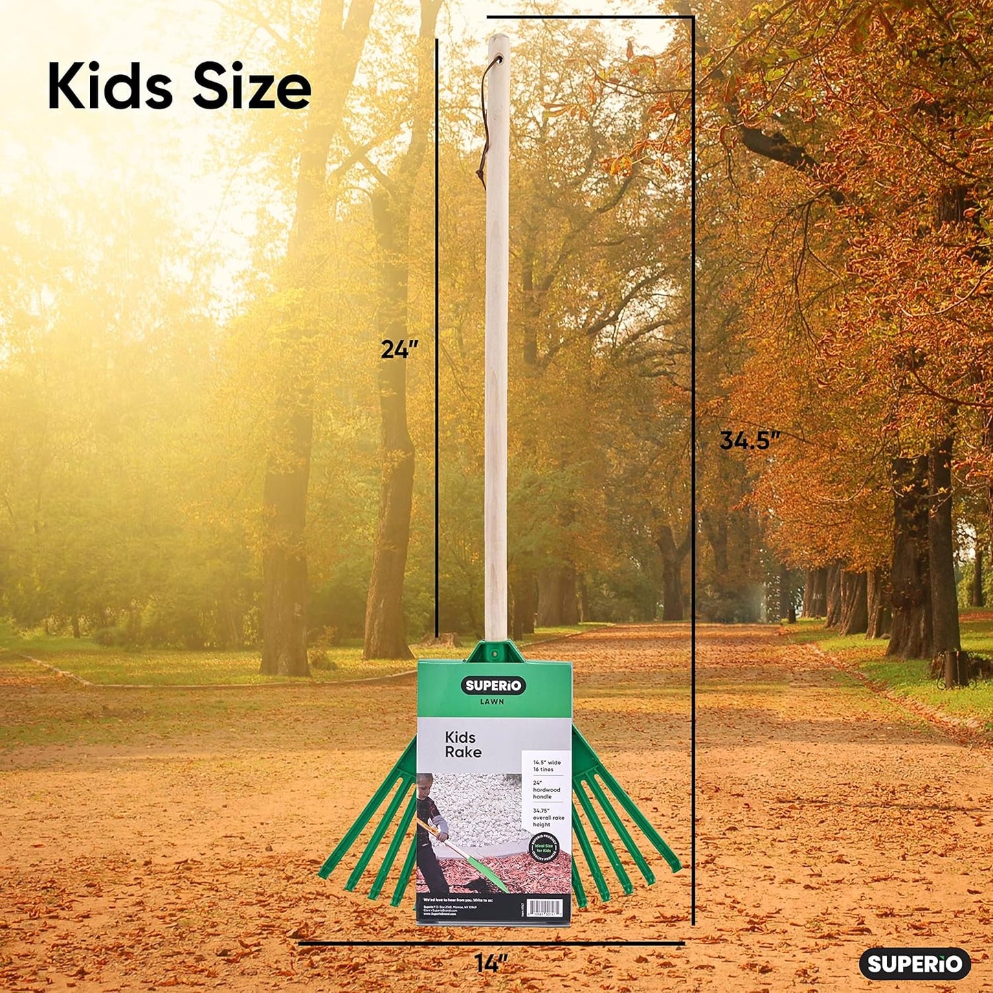 Superio Kids Rake with Hardwood Handle, Gardening and Lawn Care Tools for Kids, Sweep Leaves and Tidying Up The Garden, Plastic Tines and Heavy Duty Wooden Handle 34" 3 Pack