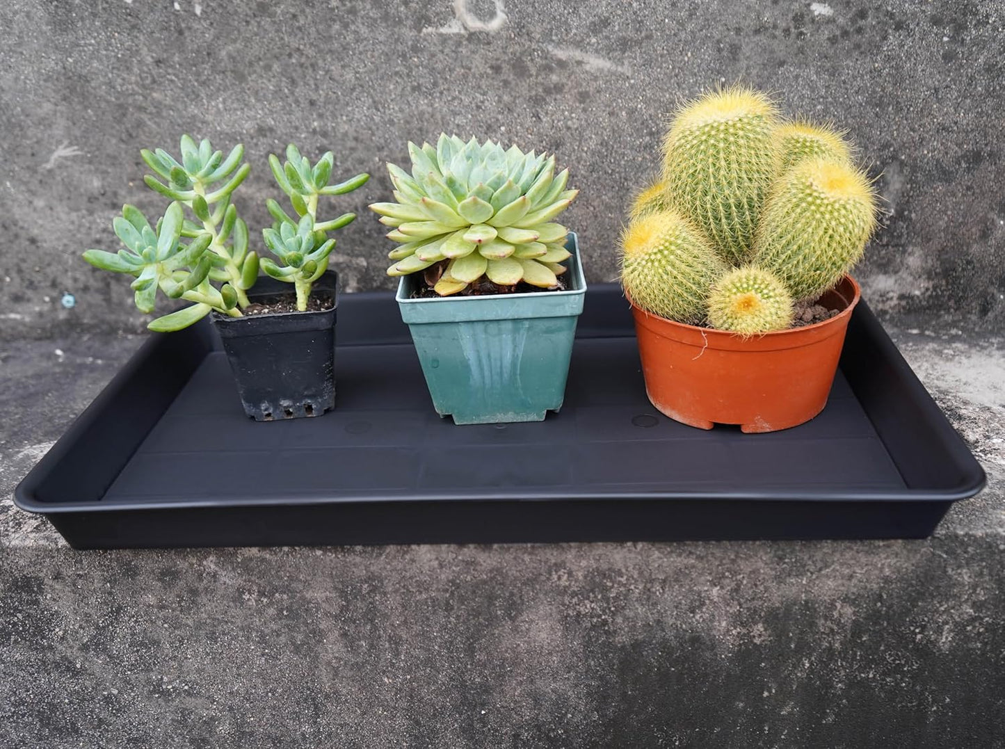 4 Pack Plant Saucer Tray Rectangular, Plant Growing Nursery Trays, Heavy Sturdy Seed Starting Trays, Plants Starter Saucers for Indoors No Holes, Seed Starter Growing Tray (17.5"x10.6", Black)