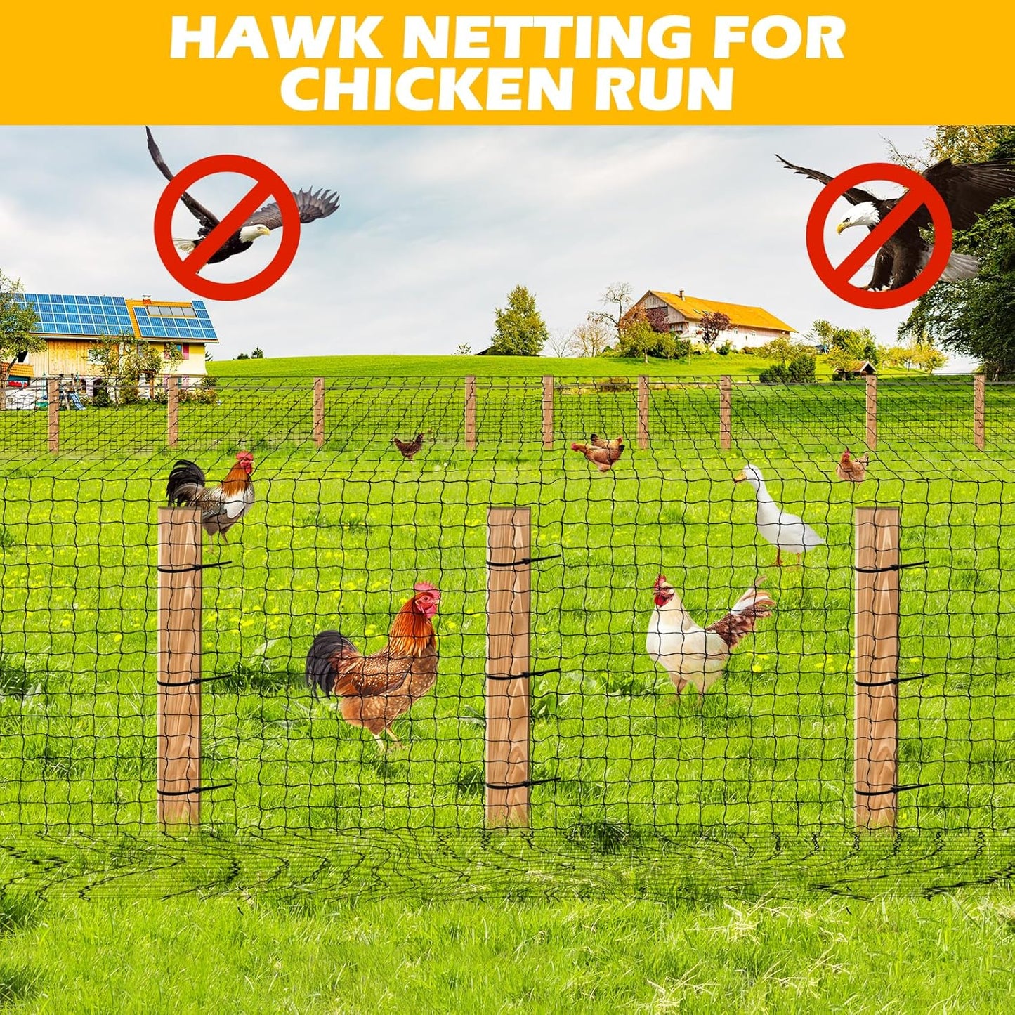 Chicken Netting 25'x25' with 1" Mesh Nylon Bird Netting for Chicken Coop, Heavy Duty Poultry Net Bird Net for Garden Deer Fence for Fruit Tree