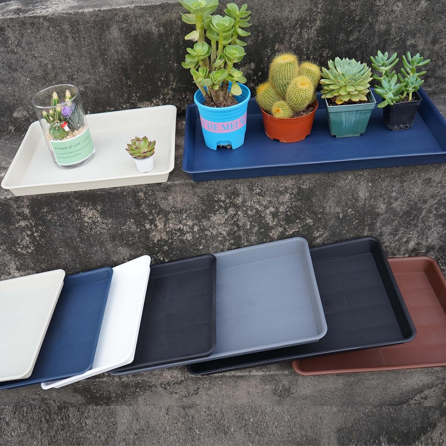 Plant Growing Trays 6 Pack, Plant Tray, 14.5"x11", Heavy Sturdy Plastic Plants Saucer, Seedling Starter Trays, Seed Starter Growing Tray (Black)