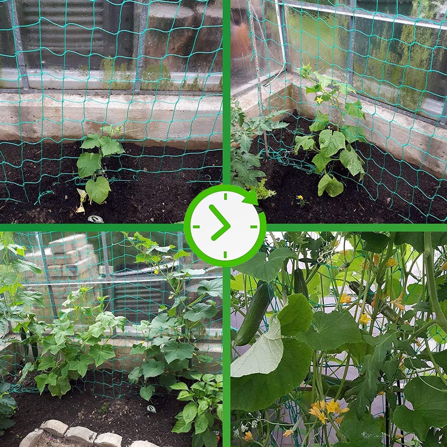 Trellis Netting for Climbing Plants - Heavy Duty Garden Trellis Netting for Cucumber, Vine, Fruits & Vegetables Tomato Plants Trellis Net, Climbing Vining Plants (1-Pack 32.8' x 6.6'Ft)