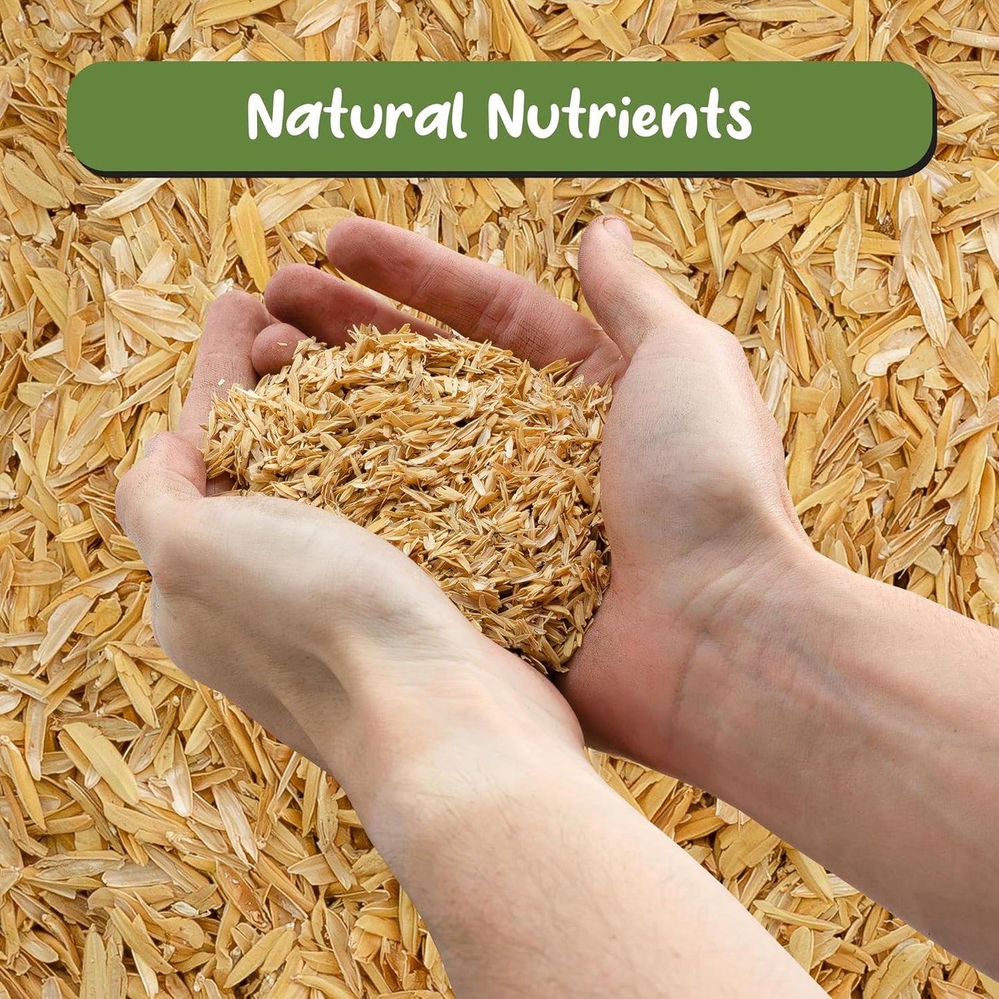 Organic Horticultural Grade Rice Hulls (1 Quart); All-Natural Soil Amendment for Houseplants, Gardening, Seed Starting & Chicken Bedding