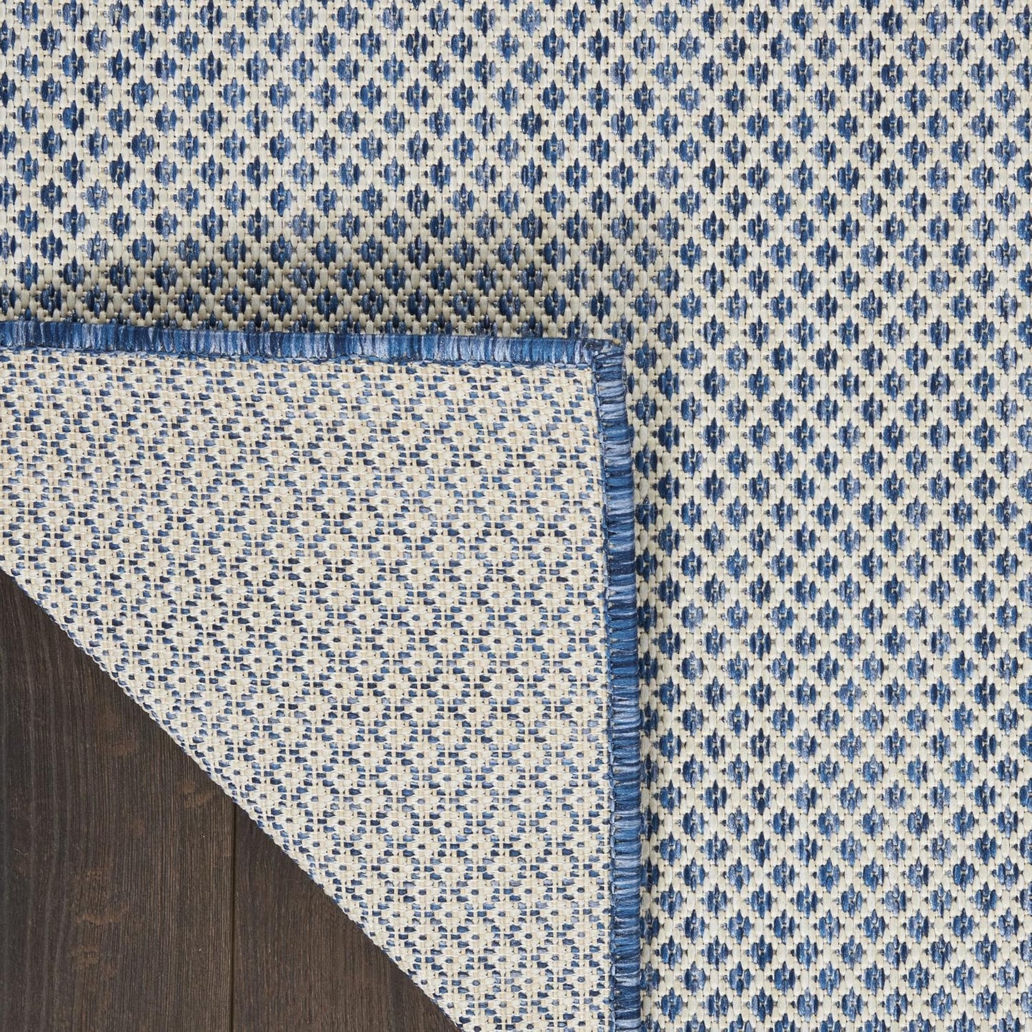 Nourison Home Courtyard 60" x 84" Fabric Indoor/Outdoor Rug in Ivory Blue